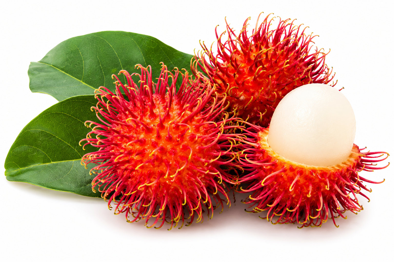 Rambutan