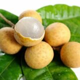 Thai Longan Litchi