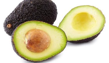 Avocado
