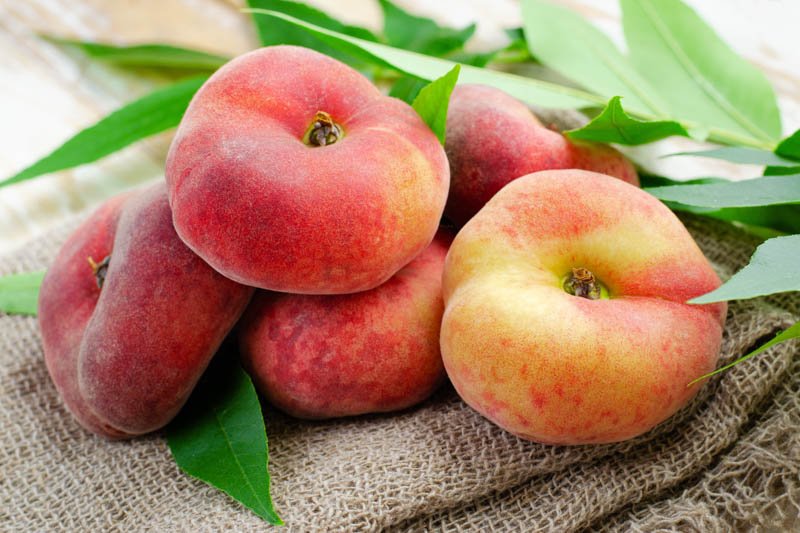 US Donut Peach