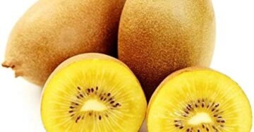Gold Kiwi