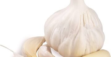 Garlic/Velluli