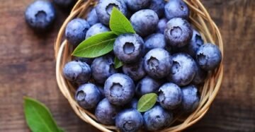 Blueberries