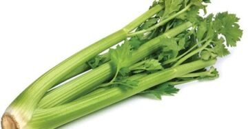 Celery