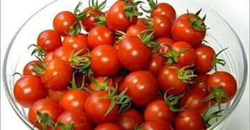 Cherry Tomato