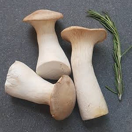 King Oyster Mushrooms