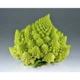 Romanesco
