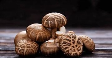 Shiitake Mushrooms