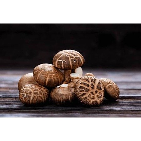 Shiitake Mushrooms