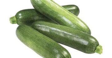 Zucchini